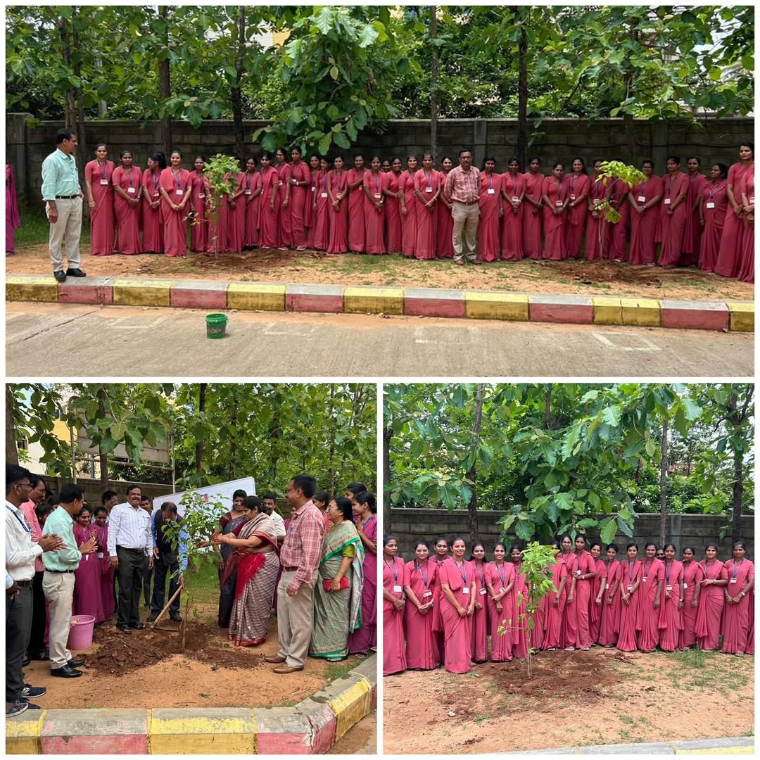 Tree Of Hope - Image 8